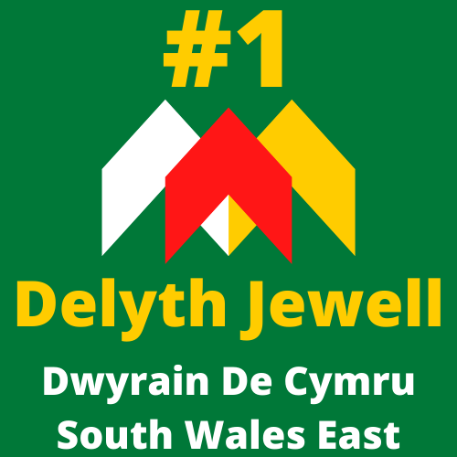 Ail-Etholwch / Re-Elect Delyth Jewell
